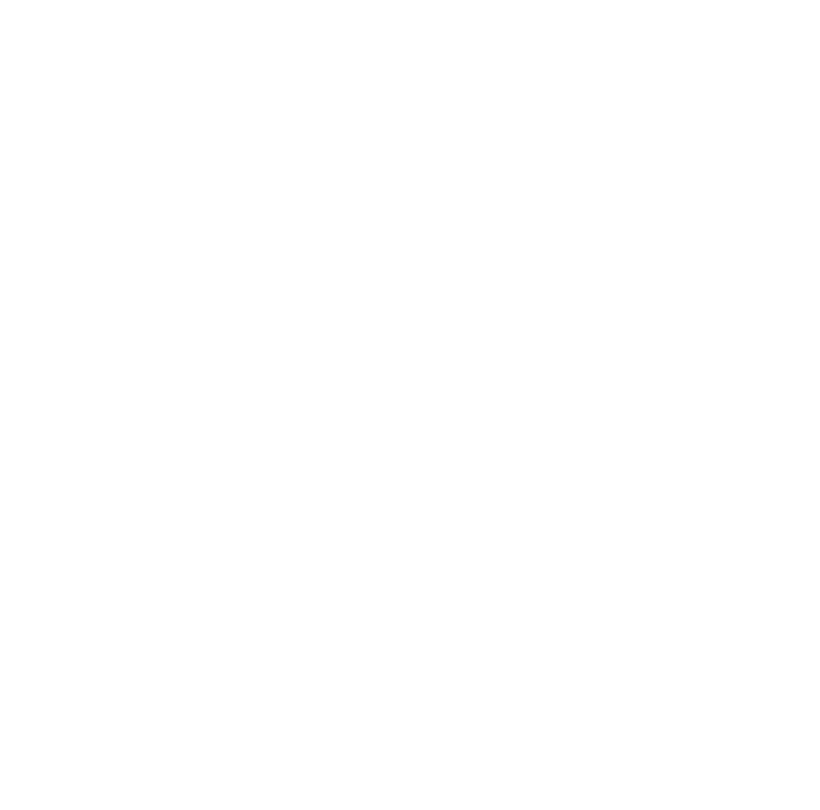 freigestelltes logo weiß